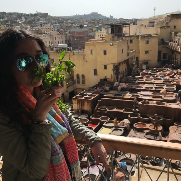 Meet your Posher, Beke - Picture 11 of 11